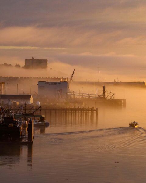 During your winter stay, enjoy the misty waterfront views of Portland's historic wharfs.