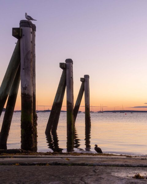 An artistic view of Portland's Old Port, where the seagulls & guests enjoy every stunning sunset.