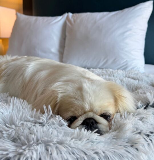 We Ranked the 35 Best Girls’ Trip Destinations in the U.S. to Book for Your Next Bestie-cation